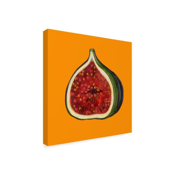 Sarah Thompson-Engels 'Fig On Orange' Canvas Art,35x35